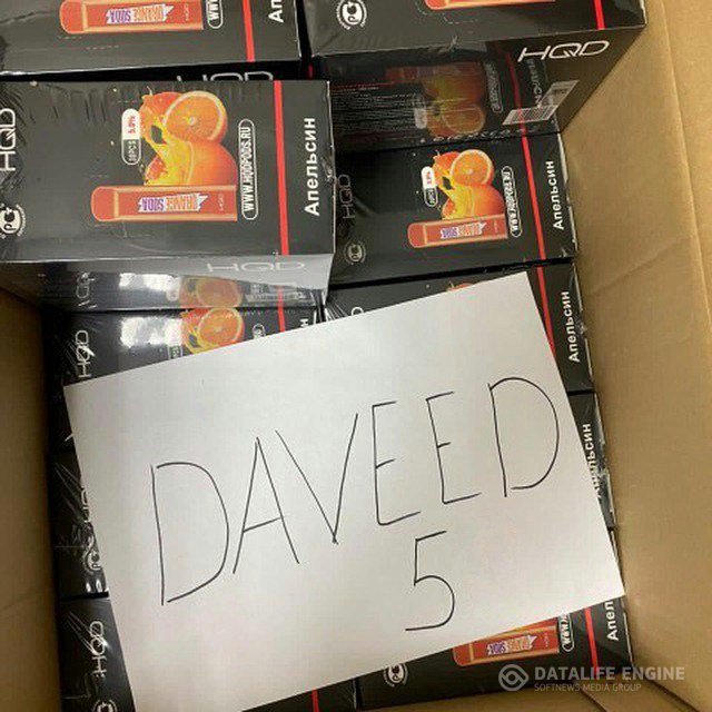 daveed5